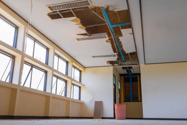 Best Ceiling water damage repair  in Soulsbyville, CA
