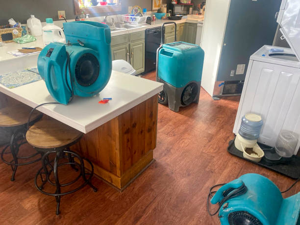 Best Water damage cleanup near me  in Soulsbyville, CA