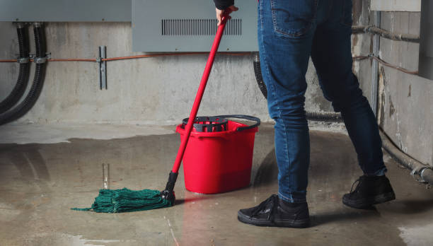 Best Water damage contractors near me  in Soulsbyville, CA
