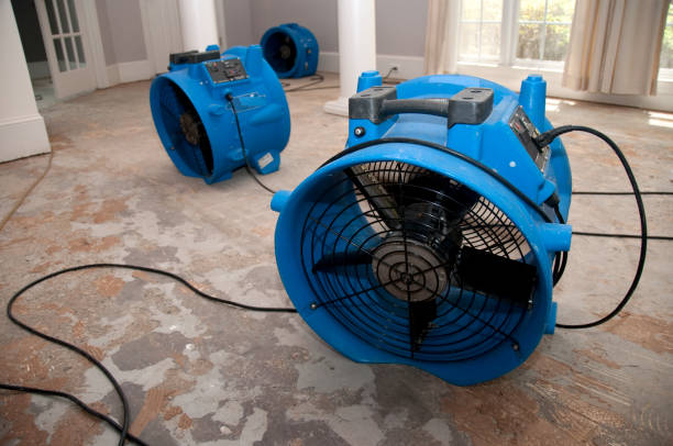 Best Residential water damage restoration  in Soulsbyville, CA