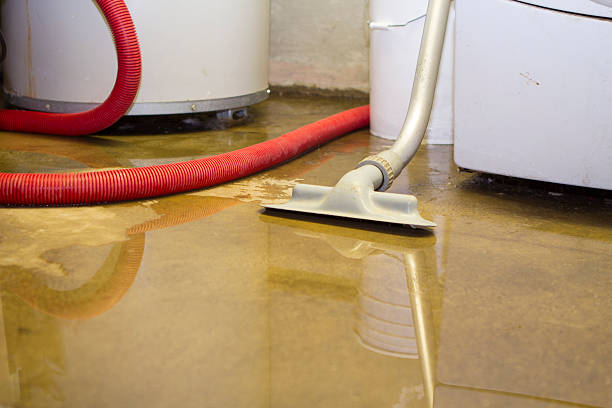 Best Flood damage cleanup  in Soulsbyville, CA
