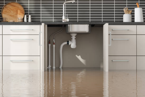 Best 24-hour water damage restoration  in Soulsbyville, CA