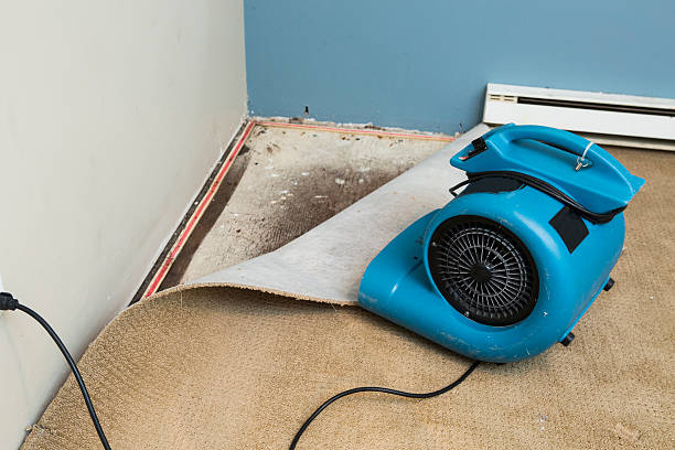 Best Flood restoration services  in Soulsbyville, CA